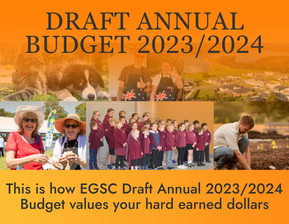 Draft Annual Budget
